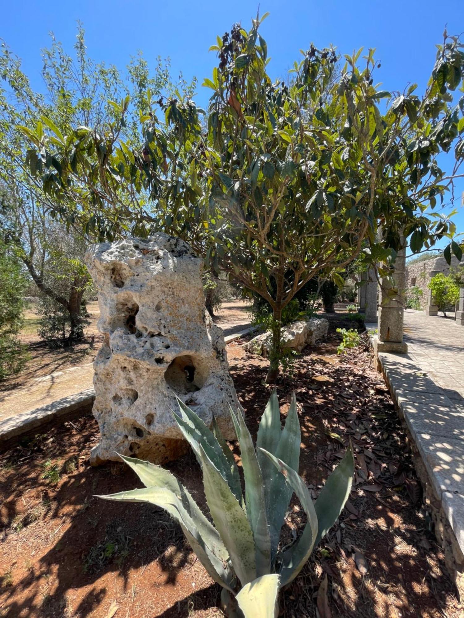 Agriturismo Salento Pietralata Andrano Luaran gambar